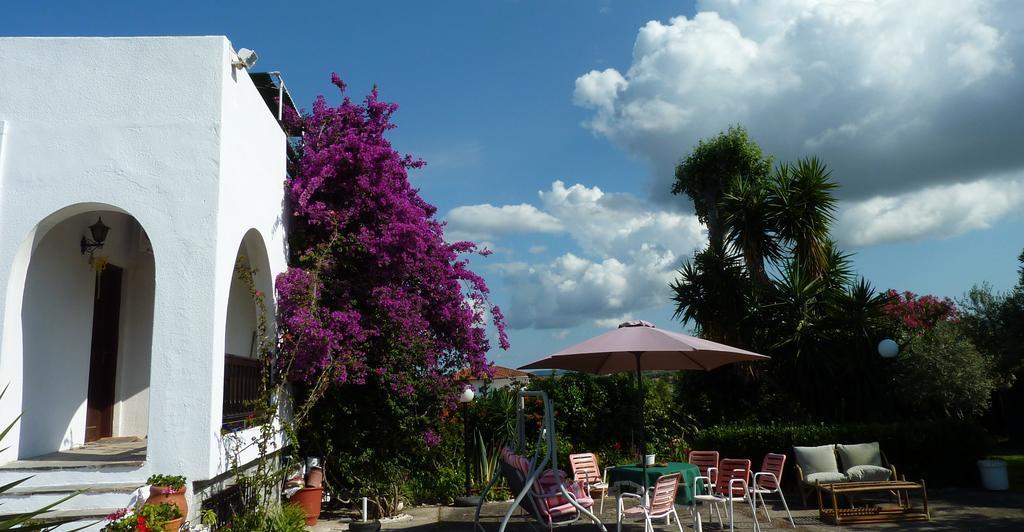 Villa Oasis Nea Poteidaia Exterior foto